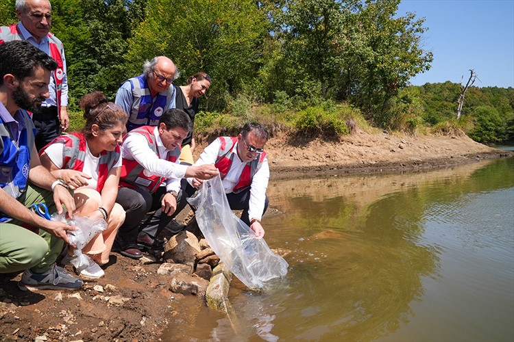 30 gölete sazan yavrusu bırakıldı