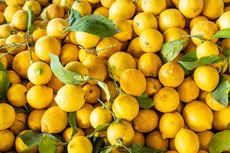 Limonda gümrük vergisi düşürüldü