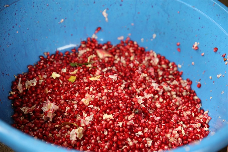 Asırlık ağaçlarda yetişen Karaz narı tanıtılacak