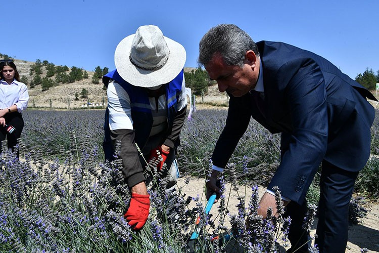 Toprak kokusunu özleyen Mamak'a gelsin