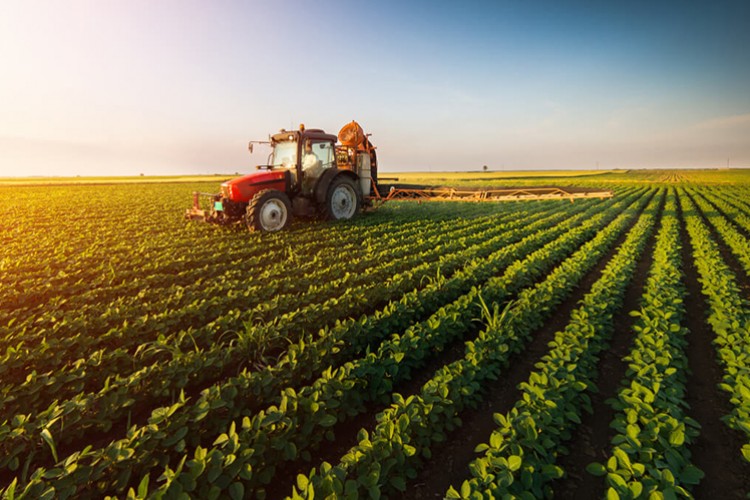 Tarım ve gıdada çarklar döndü