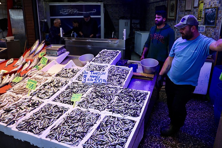 Trabzon'da hamsinin kilogramı 35 lira
