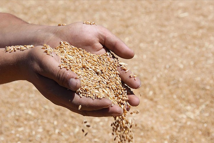 Bakliyat, yağlı tohumlar ihracatı 10 ayda 10 milyar doları aştı