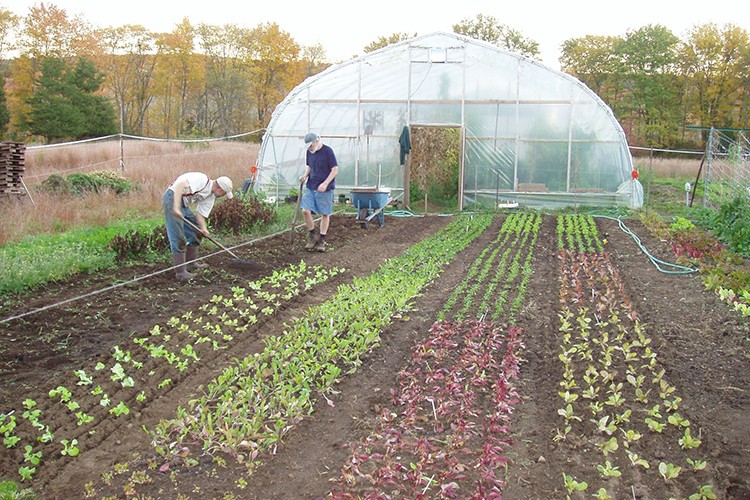 Organik tarıma destek