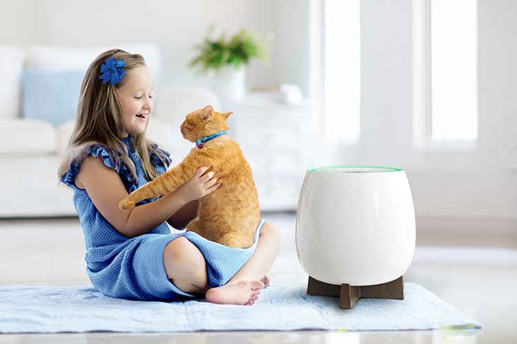 HomePure Zayn kış aylarında havanızın kalitesini değiştiriyor