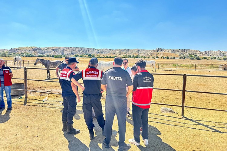 Kapadokya Alan Başkanlığı kaçak at çiftliklerine göz açtırmıyor
