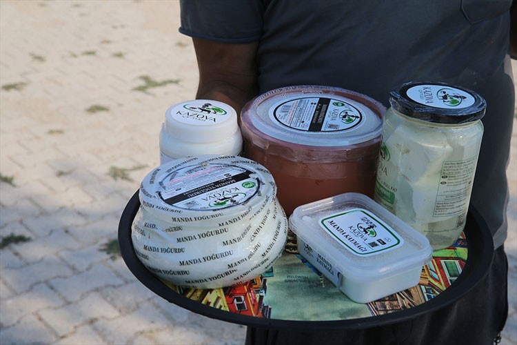Manda yoğurdu üretip Dubai'ye kadar ulaştılar