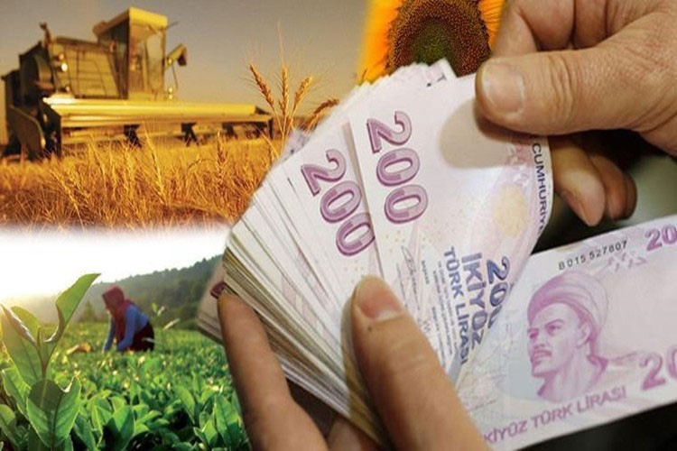 Tarıma düşük faizli kredi uygulaması uzatıldı