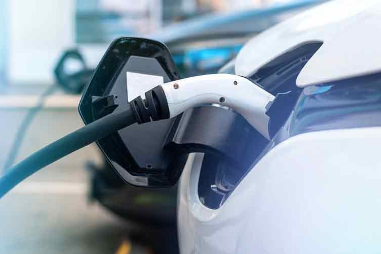 Go Green Türkiye 2023, TEHAD işbirliğiyle gerçekleşecek