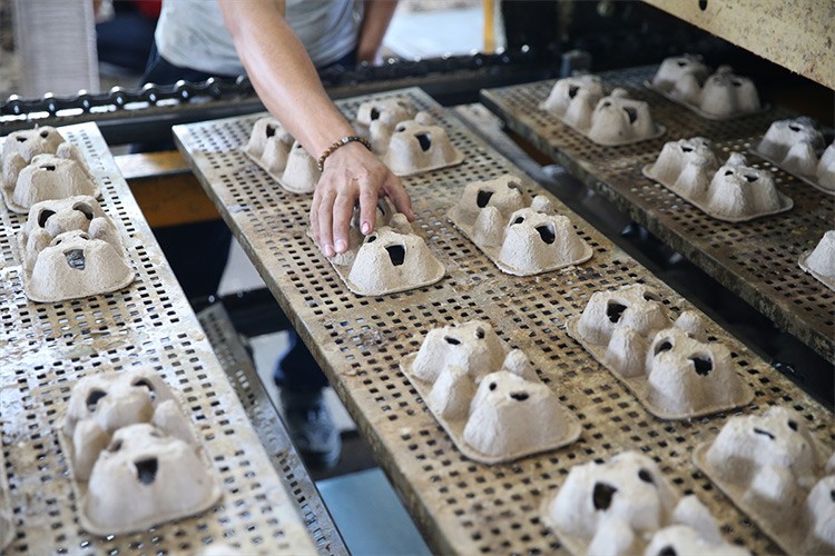 Kahve posası karton ambalaj üretiminde kullanılıyor