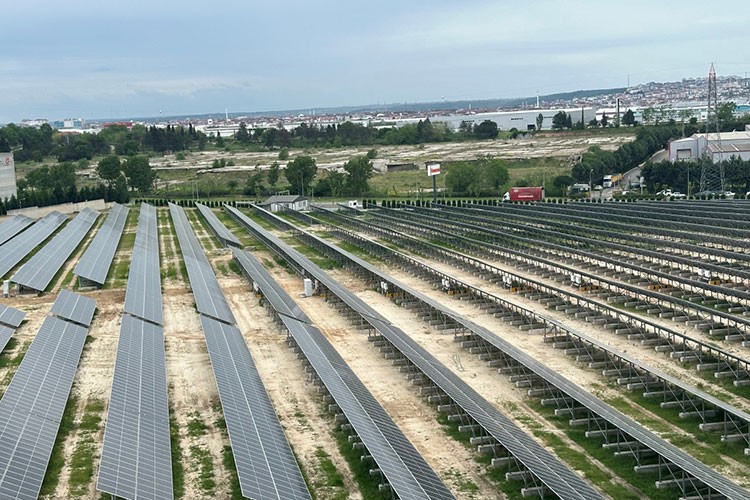 Humanis, sürdürülebilir üretimle biyoçeşitliliğe katkı sağlıyor