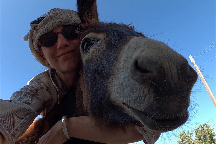 Kazı alanındaki "Samal" adını verdiği sıpayı sahiplendi