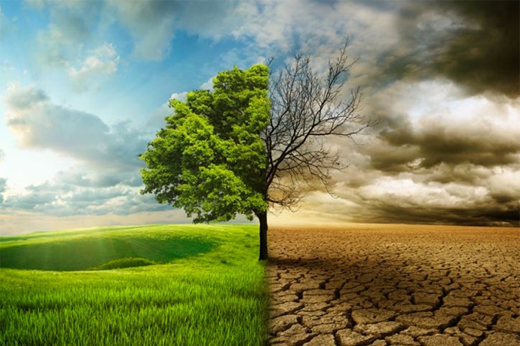 2022'nin en önemli küresel riski: İklim sorunu