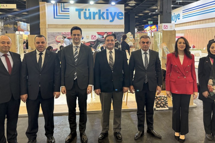 Türkiye Kızıldeniz krizini fırsata çevirecek mi?