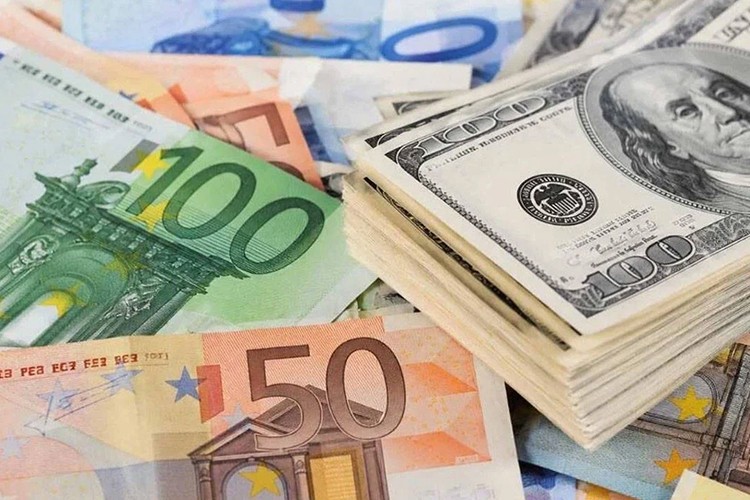 Reel efektif döviz kuru 105,96 oldu