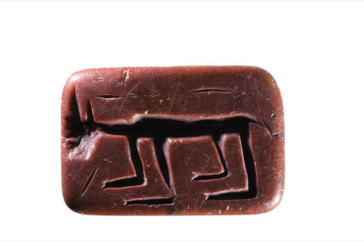 7 bin yıllık hayvan figürlü mühürler bulundu