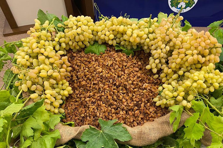 Kuru meyve sektörüne 3 güçlü pazar kazandırdı