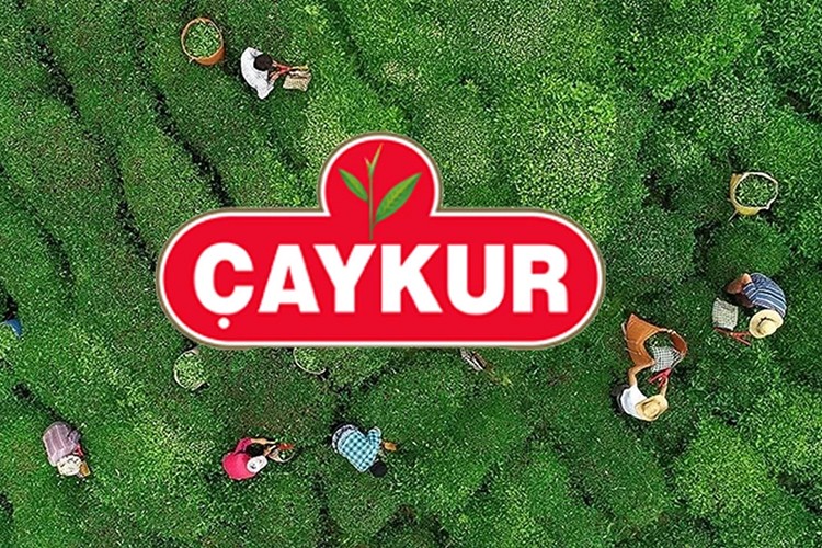 ÇAYKUR'dan yaş çay sezonu öncesi üreticilere bilgilendirme