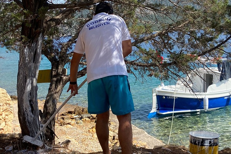 Bodrum'da ada ve koylarda temizlik yapıldı