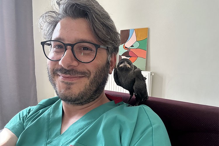 Doktorun sahiplendiği karga "Jackoo" ile dostluğu görenleri şaşırtıyor