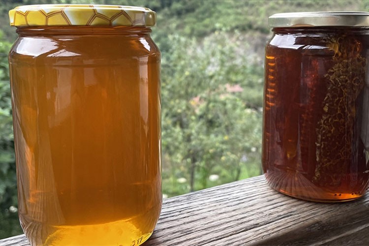 Doğu Karadeniz'den geçen yıl 13 ülkeye bal ihraç edildi