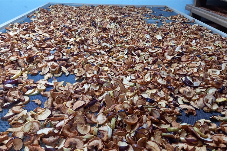 Kurdukları kooperatifle yöresel ürünlere değer katıyorlar