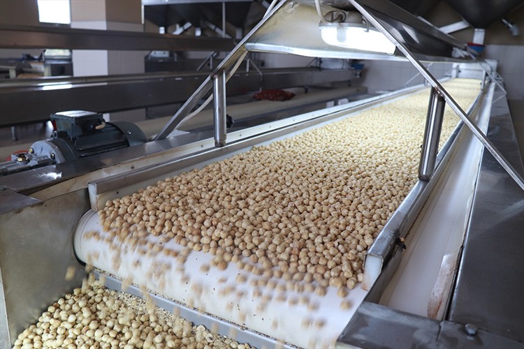 Hedef 300 bin tonun üzerinde fındık ihracı