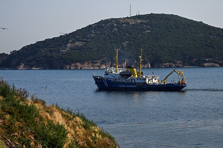 Marmara Denizi'ndeki baskı unsurları canlı türlerini tehdit ediyor