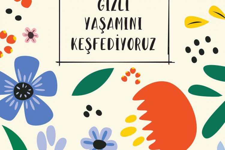Final Kültür Sanat Yayınları'ndan Bitkilerin Gizli Dünyasına Eğlenceli Bir Yolculuk