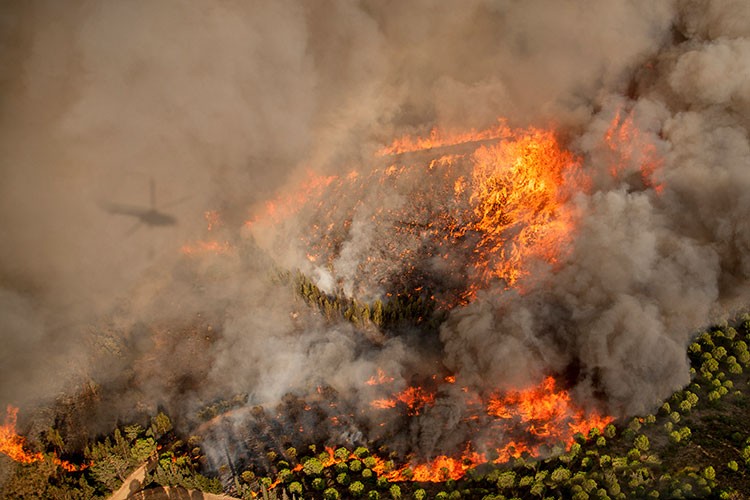 Orman yangınlarını önlemek daha fazla dikkat
