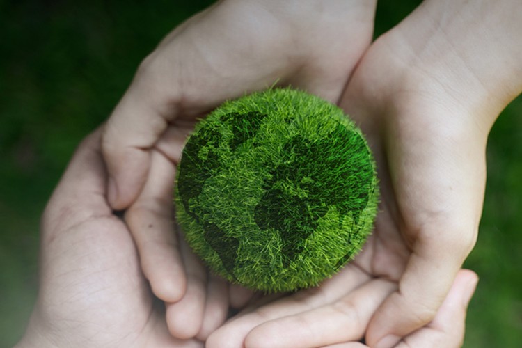 Turkcell'e "sürdürülebilirlikte mükemmellik" skoru