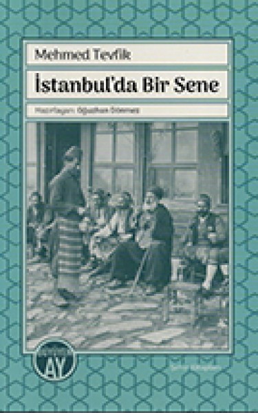 İstanbul'da Bir Sene