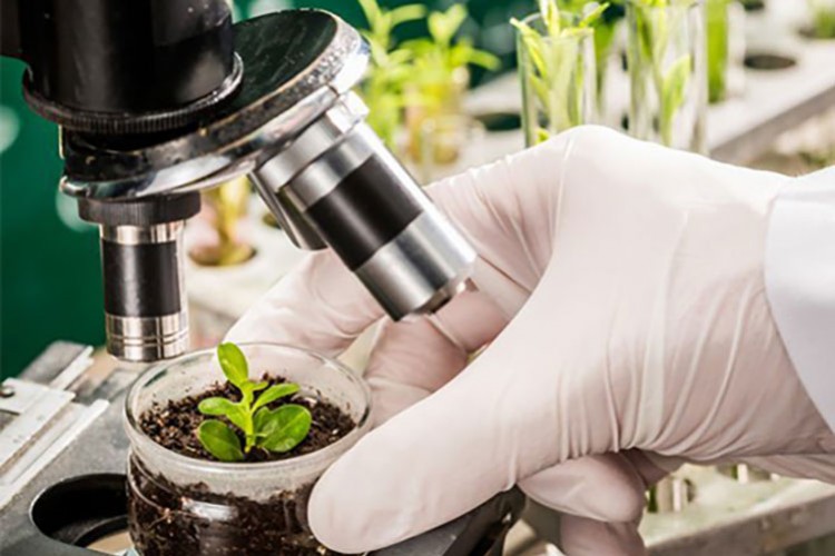 2021 yılının "yükselen" 10 teknolojisi belirlendi