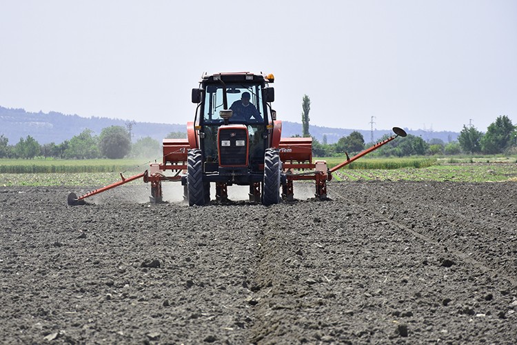 Çiftçi salgında bile topraktan kopmadı