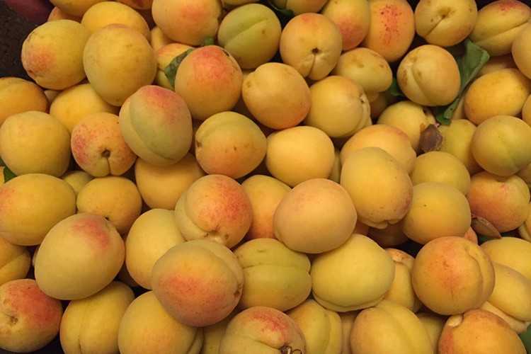 "Marka haline geldi"