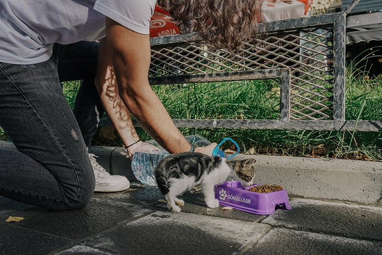 Hhayvan dostlarımız için anlamlı destek