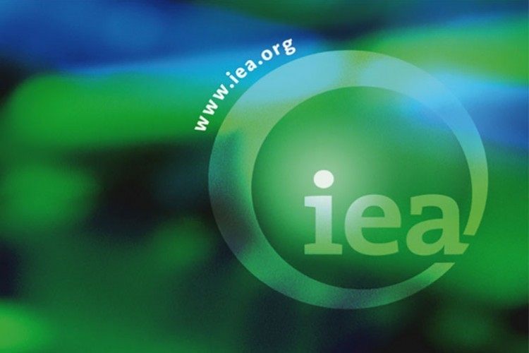 "Elektrik talebindeki artışcç gelişmekte olan ekonomilerden gelecek"