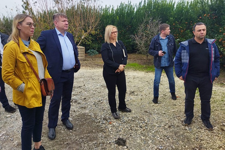 Rus heyet, Adana'da narenciye bahçelerini gezdi