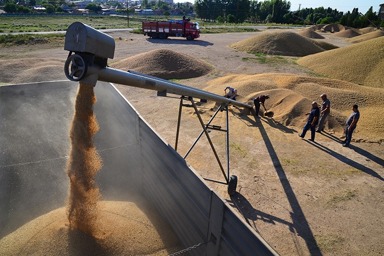Hububat yüz güldürdü