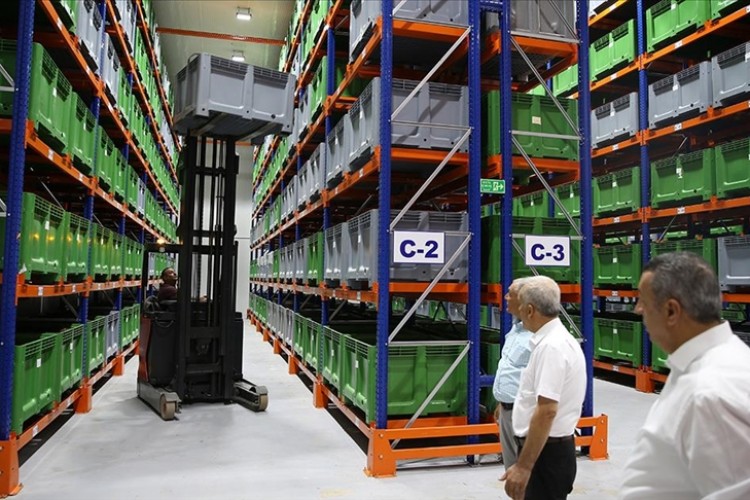 Malatya'da kuru kayısı lisanslı depoları alımı sürdürüyor