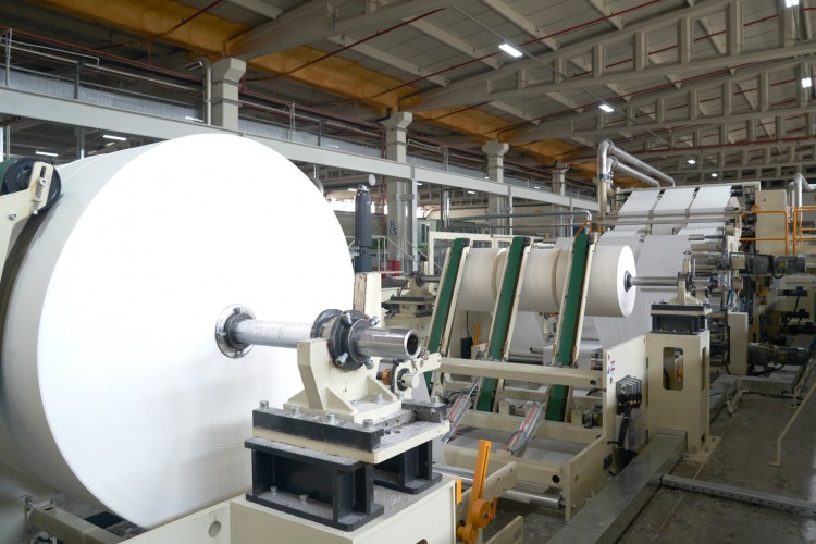 Lila Kağıt'ın 2024 yılı ilk çeyreğine dair finansal verileri açıklandı