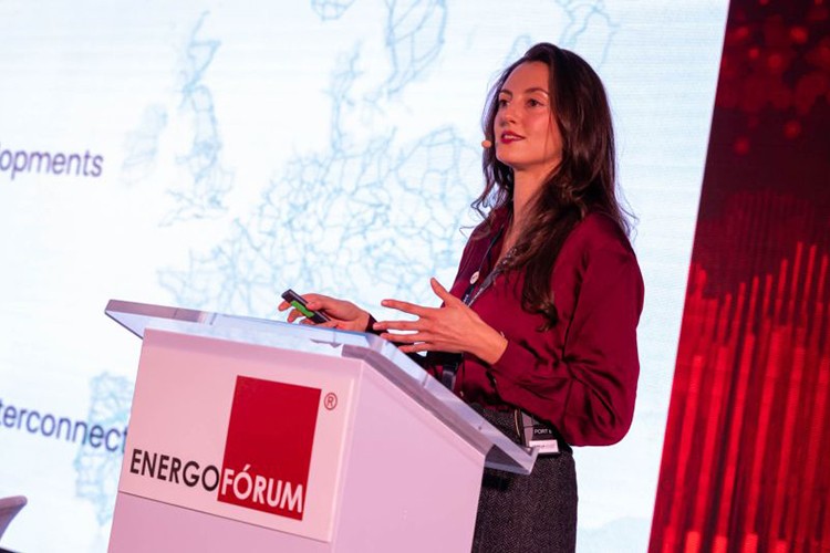 AB'nin Rus gazından çıkışı "dikkatli geçiş" gerektiriyor