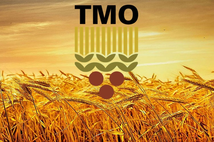 TMO'nun aldığı ürün miktarı rekora ulaştı