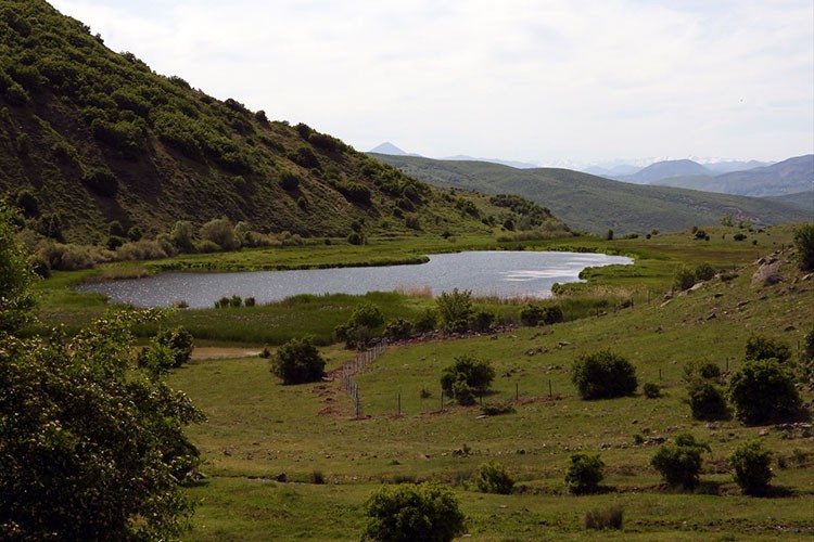 Türkiye'de 5 yer "mahalli sulak alan" kapsamına alındı
