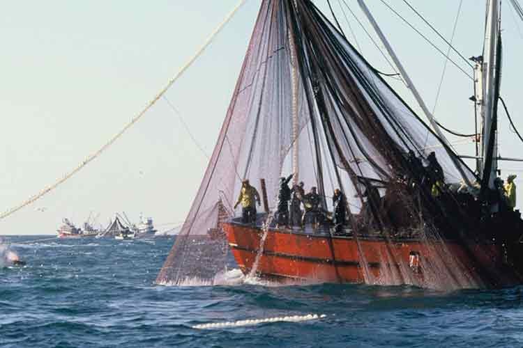 Balıkçılar rotayı uluslararası sulara çevirdi