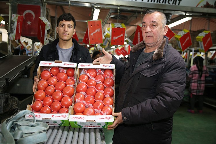 Kumluca ve Finike'nin domateslerini "dünya" tadıyor