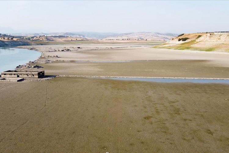 Kasım yağışları hububattaki kuraklık riskini azalttı