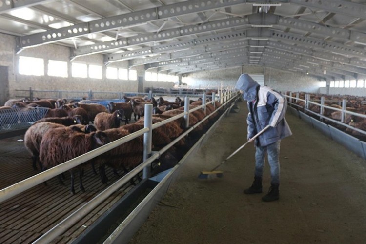 Erzurum'da tarım ve kırsal kalkınma destekleriyle 1820 kişiye istihdam sağlandı