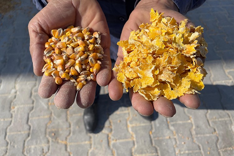 Tarım, hayvancılık ve maden sonrası yaşam birlikte planlanıyor