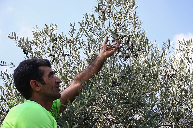 Açık artırmayla satılacak